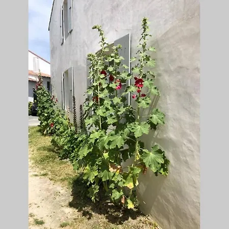 Jolie Maison De Village Au Coeur De Feriehus